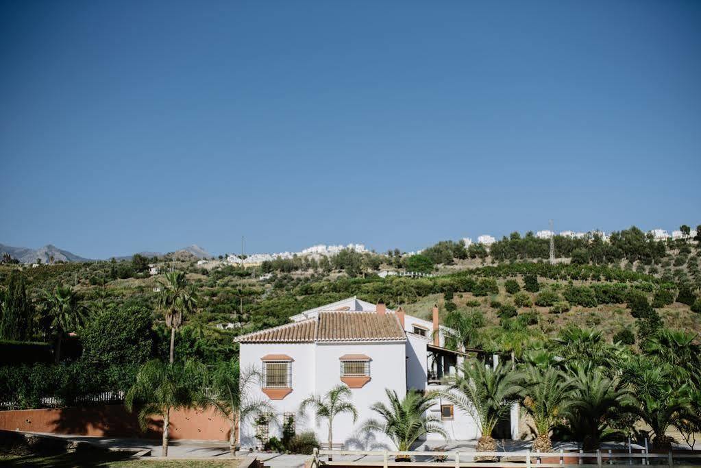 La Perla De Frigiliana Bed & Breakfast Deluxe 외부 사진